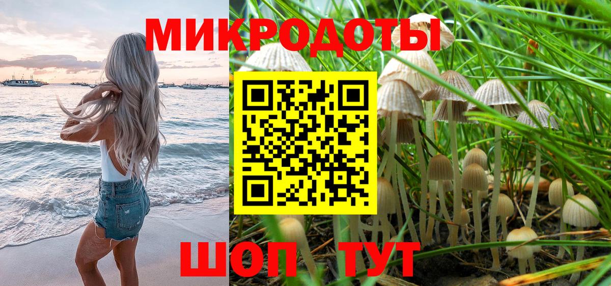 Железногорск  Галлюциногенные грибы Psilocybe  Вход с VPN 